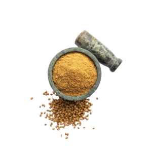 Home dhoniagura; coriander;